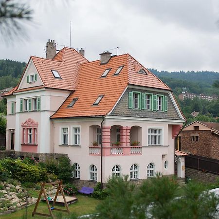 Penzion Signum Laudis Hotell Velké Hamry Exteriör bild